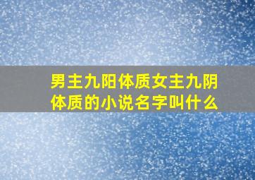 男主九阳体质女主九阴体质的小说名字叫什么