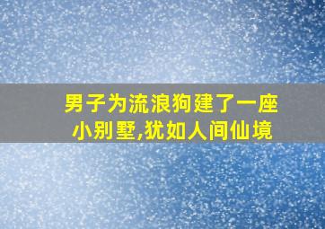 男子为流浪狗建了一座小别墅,犹如人间仙境