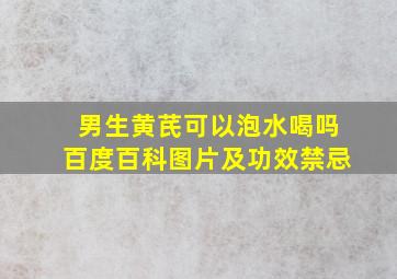 男生黄芪可以泡水喝吗百度百科图片及功效禁忌