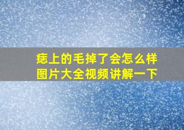 痣上的毛掉了会怎么样图片大全视频讲解一下