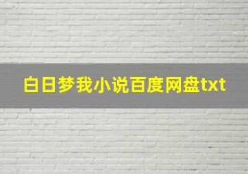 白日梦我小说百度网盘txt