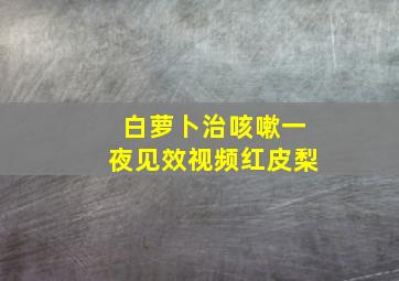 白萝卜治咳嗽一夜见效视频红皮梨