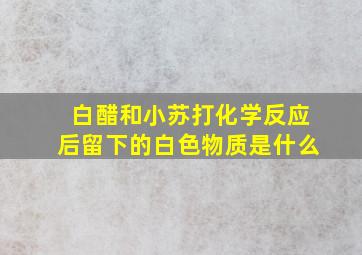 白醋和小苏打化学反应后留下的白色物质是什么