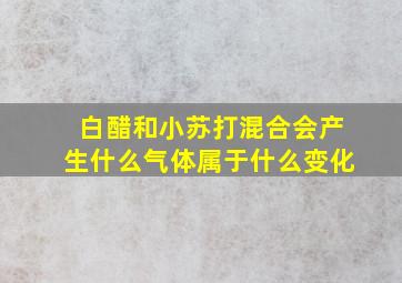 白醋和小苏打混合会产生什么气体属于什么变化