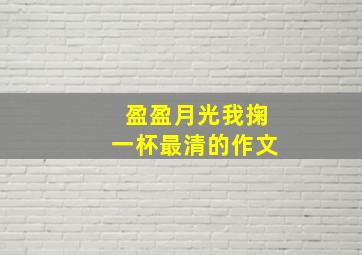 盈盈月光我掬一杯最清的作文