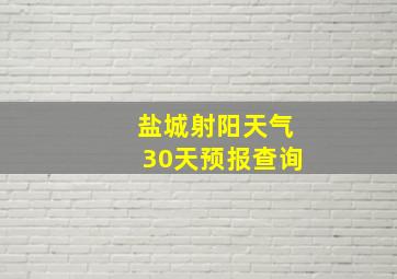 盐城射阳天气30天预报查询