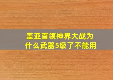 盖亚首领神界大战为什么武器5级了不能用