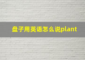 盘子用英语怎么说plant