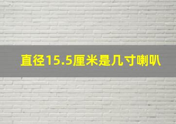 直径15.5厘米是几寸喇叭