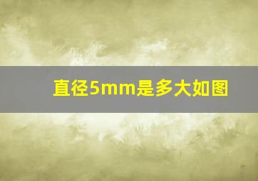 直径5mm是多大如图