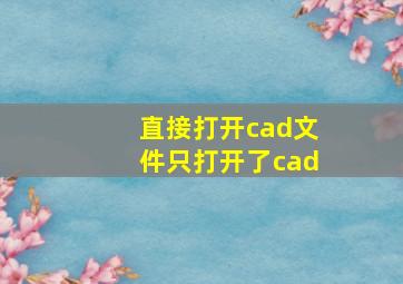 直接打开cad文件只打开了cad