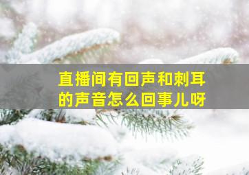 直播间有回声和刺耳的声音怎么回事儿呀