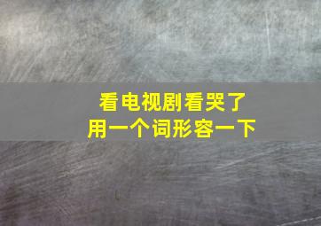 看电视剧看哭了用一个词形容一下