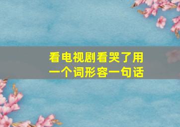 看电视剧看哭了用一个词形容一句话