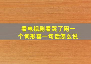 看电视剧看哭了用一个词形容一句话怎么说