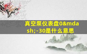 真空泵仪表盘0—-30是什么意思