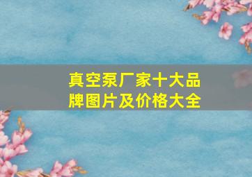 真空泵厂家十大品牌图片及价格大全