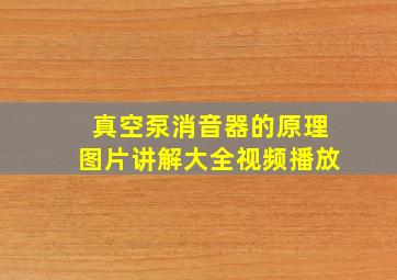 真空泵消音器的原理图片讲解大全视频播放