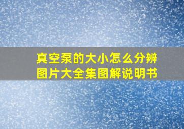 真空泵的大小怎么分辨图片大全集图解说明书