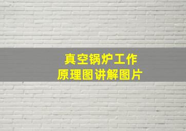 真空锅炉工作原理图讲解图片