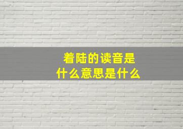 着陆的读音是什么意思是什么