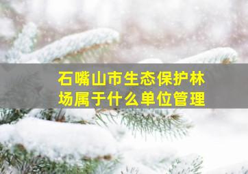 石嘴山市生态保护林场属于什么单位管理