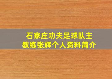 石家庄功夫足球队主教练张辉个人资料简介