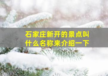 石家庄新开的景点叫什么名称来介绍一下