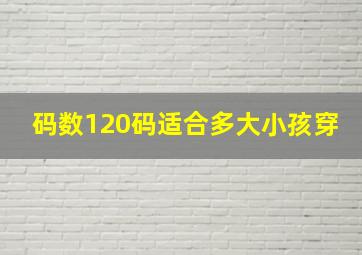 码数120码适合多大小孩穿