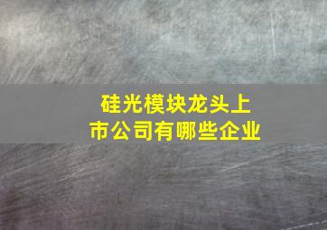 硅光模块龙头上市公司有哪些企业