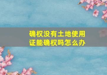 确权没有土地使用证能确权吗怎么办