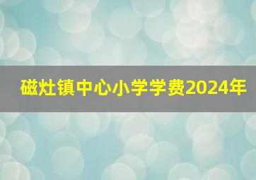 磁灶镇中心小学学费2024年