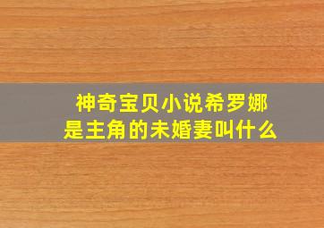 神奇宝贝小说希罗娜是主角的未婚妻叫什么