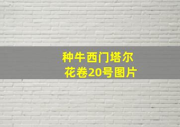 种牛西门塔尔花卷20号图片