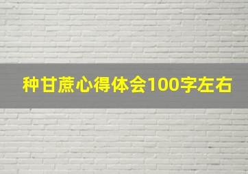 种甘蔗心得体会100字左右