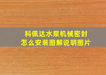 科佩达水泵机械密封怎么安装图解说明图片