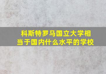 科斯特罗马国立大学相当于国内什么水平的学校