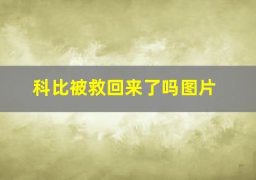 科比被救回来了吗图片