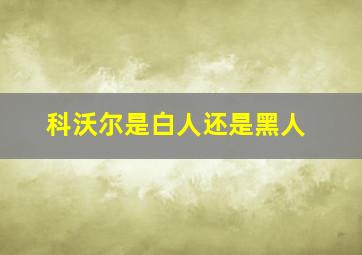 科沃尔是白人还是黑人