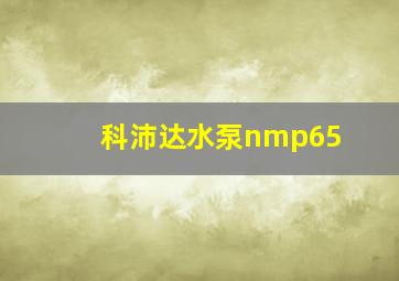 科沛达水泵nmp65