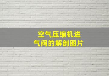 空气压缩机进气阀的解剖图片