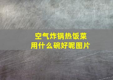 空气炸锅热饭菜用什么碗好呢图片