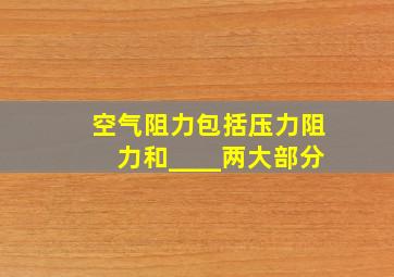 空气阻力包括压力阻力和____两大部分