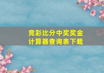 竞彩比分中奖奖金计算器查询表下载