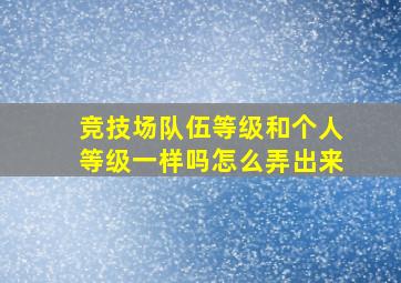 竞技场队伍等级和个人等级一样吗怎么弄出来