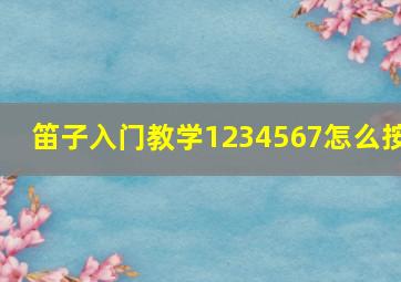 笛子入门教学1234567怎么按