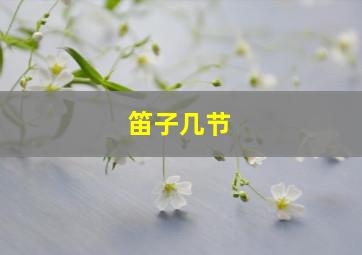 笛子几节