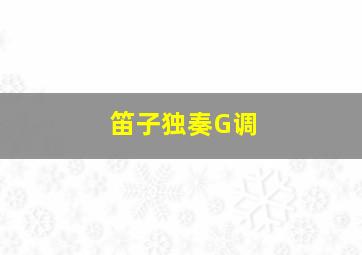 笛子独奏G调