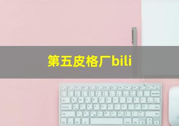 第五皮格厂bili