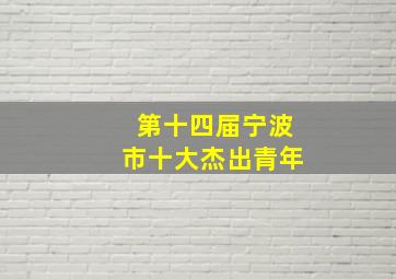 第十四届宁波市十大杰出青年